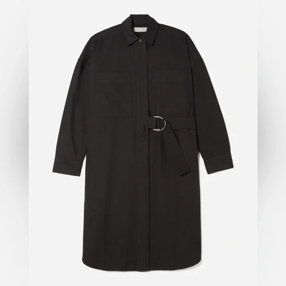 NWT Everlane The Oxford Shirtdress - Picture 6 of 16